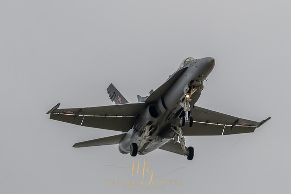 _DSC5008