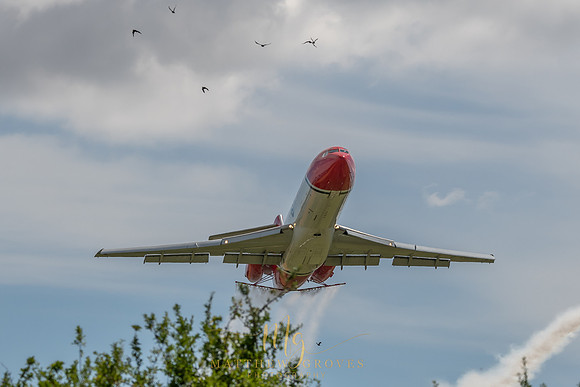_DSC4703