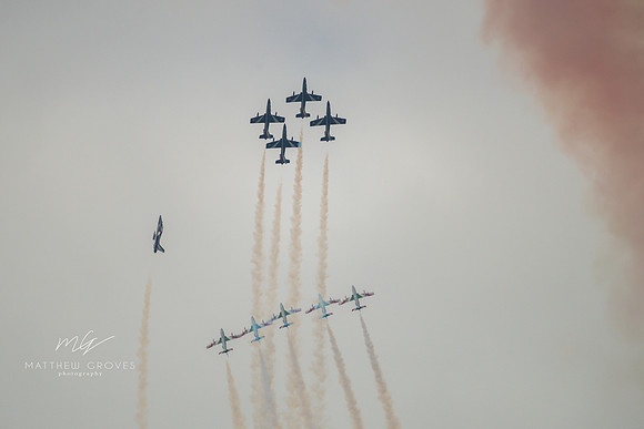 DSC_3565