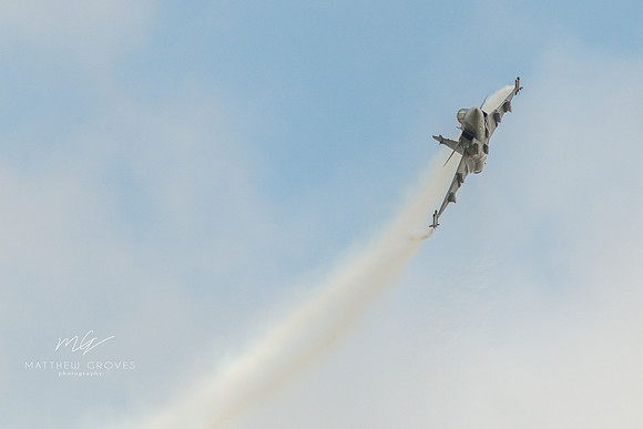 DSC_3335